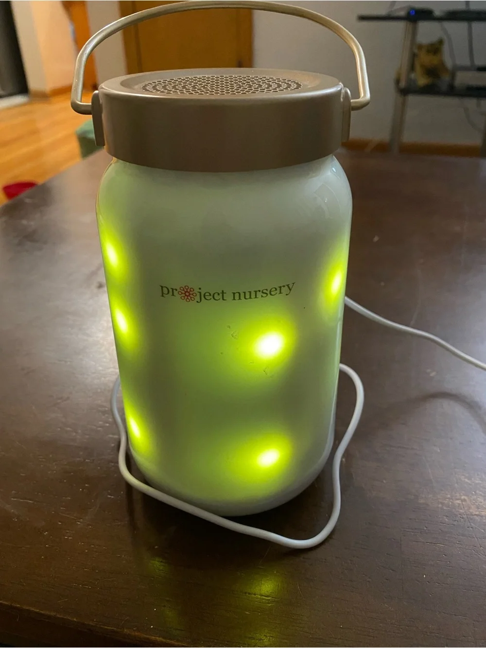Project Nursery Green LED Lantern Night Light with Handle
